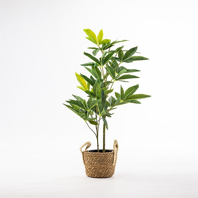 A potted artificial plant with green leaves in a woven brown basket pot, set against a plain white background.