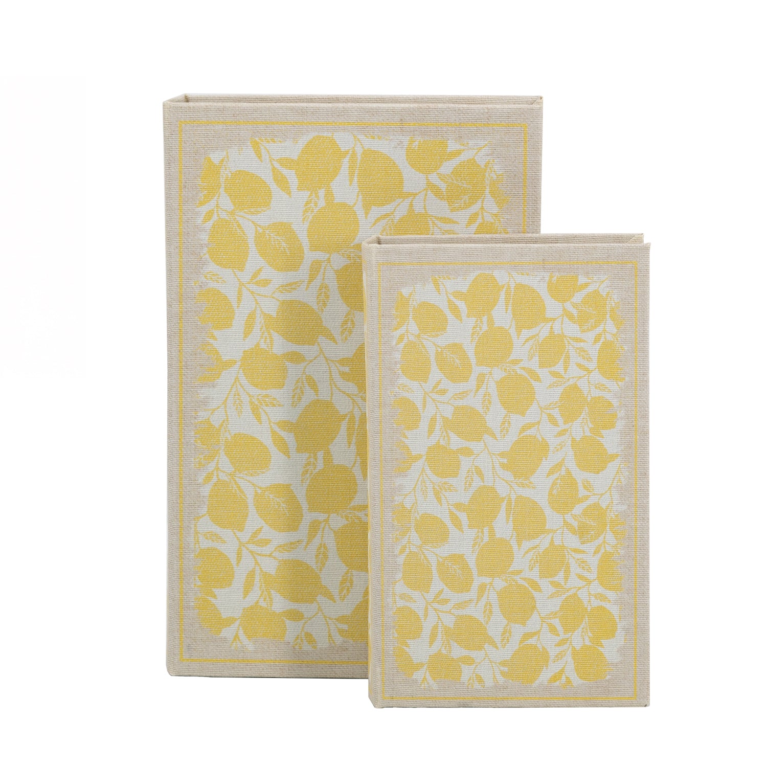 Home Chic Lucy Lemons Book Box Set of 2 Linen