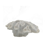 Cove Closed Coral Décor in white featuring layered curved formations with fine textured detailing.