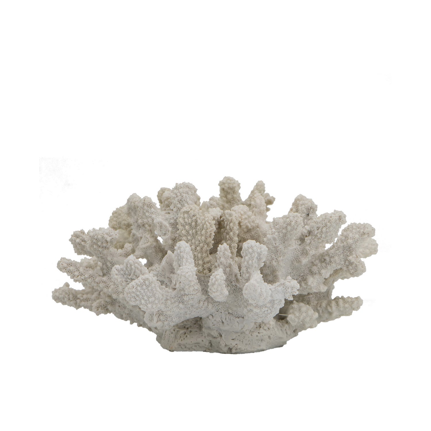 Cove Open Coral Décor in white featuring a detailed branching coral design on a white background.