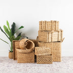 Assorted natural woven storage baskets styled with a green indoor plant against a white wall.