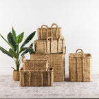 Assorted natural woven baskets with braided handles displayed with a green indoor plant on a patterned rug.