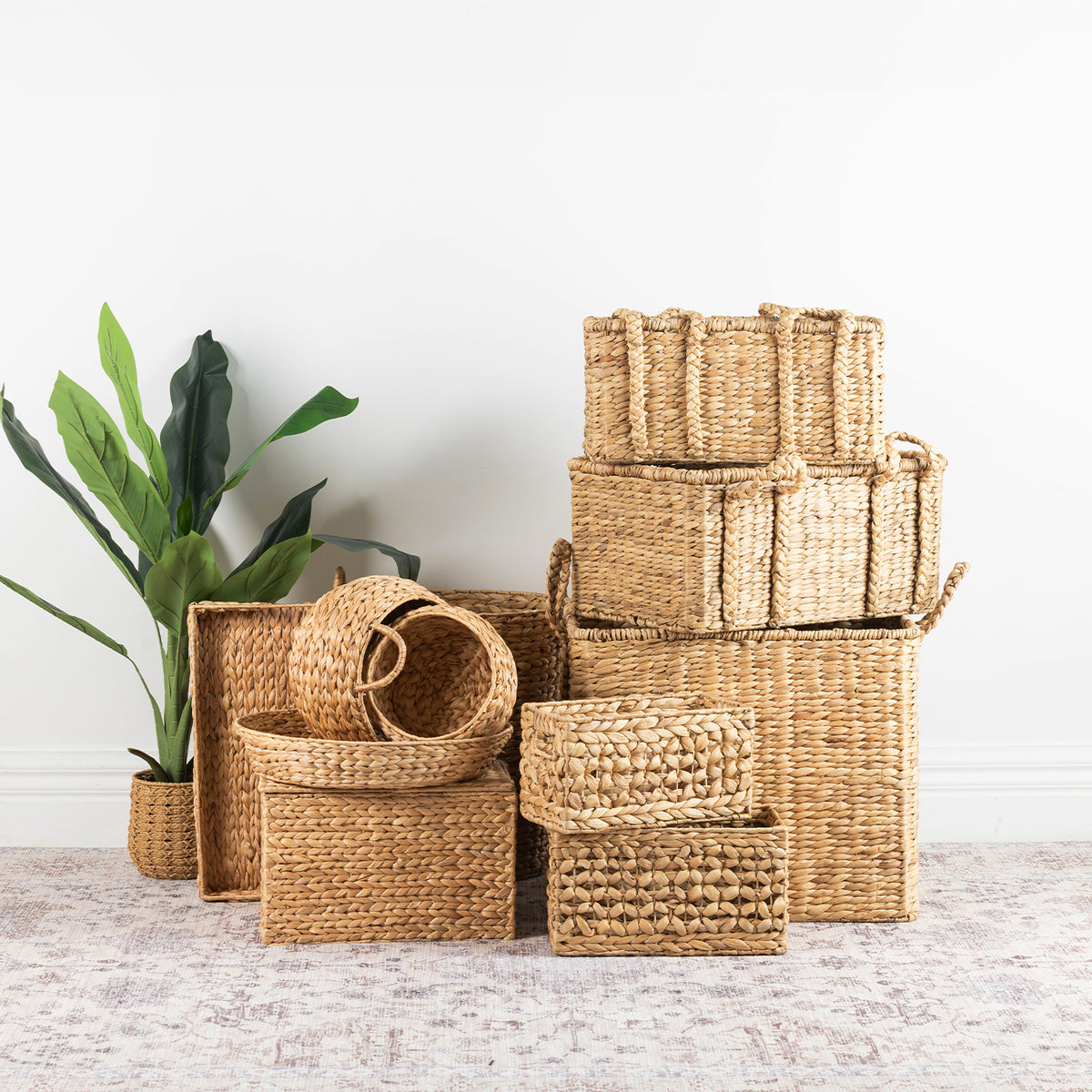 Assorted natural woven storage baskets styled with a green indoor plant against a white wall.