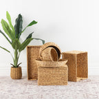 A set of natural woven seagrass baskets in various sizes and shapes, including a stack of nested round and rectangular baskets, displayed next to a potted green plant on a light patterned rug against a white wall.