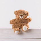 Hush For Kids Warm Hugs Teddy Bear Wheat Pack