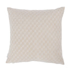 Design Republique Brooke Velvet Cushion
