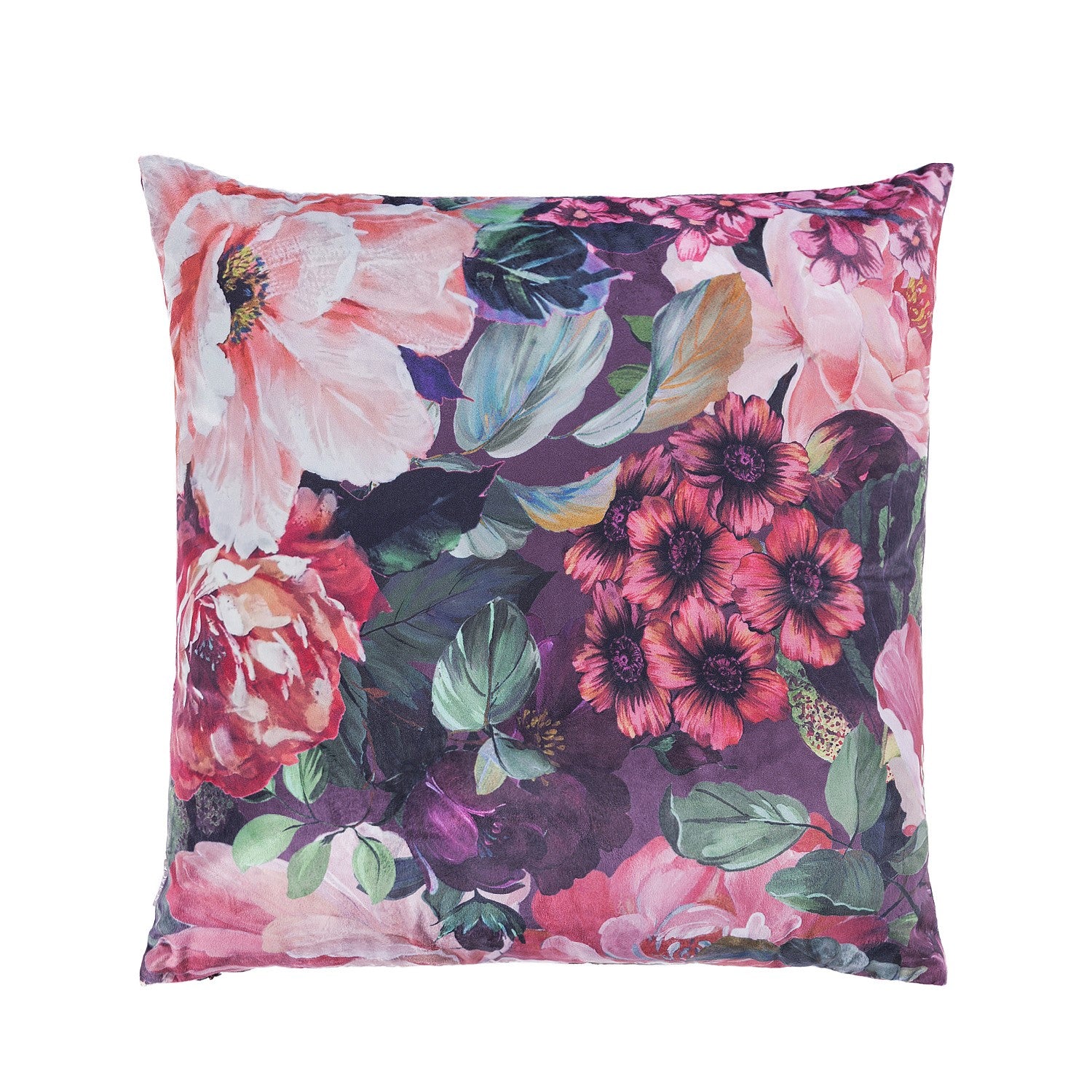 Solace Roan Velvet Cushion