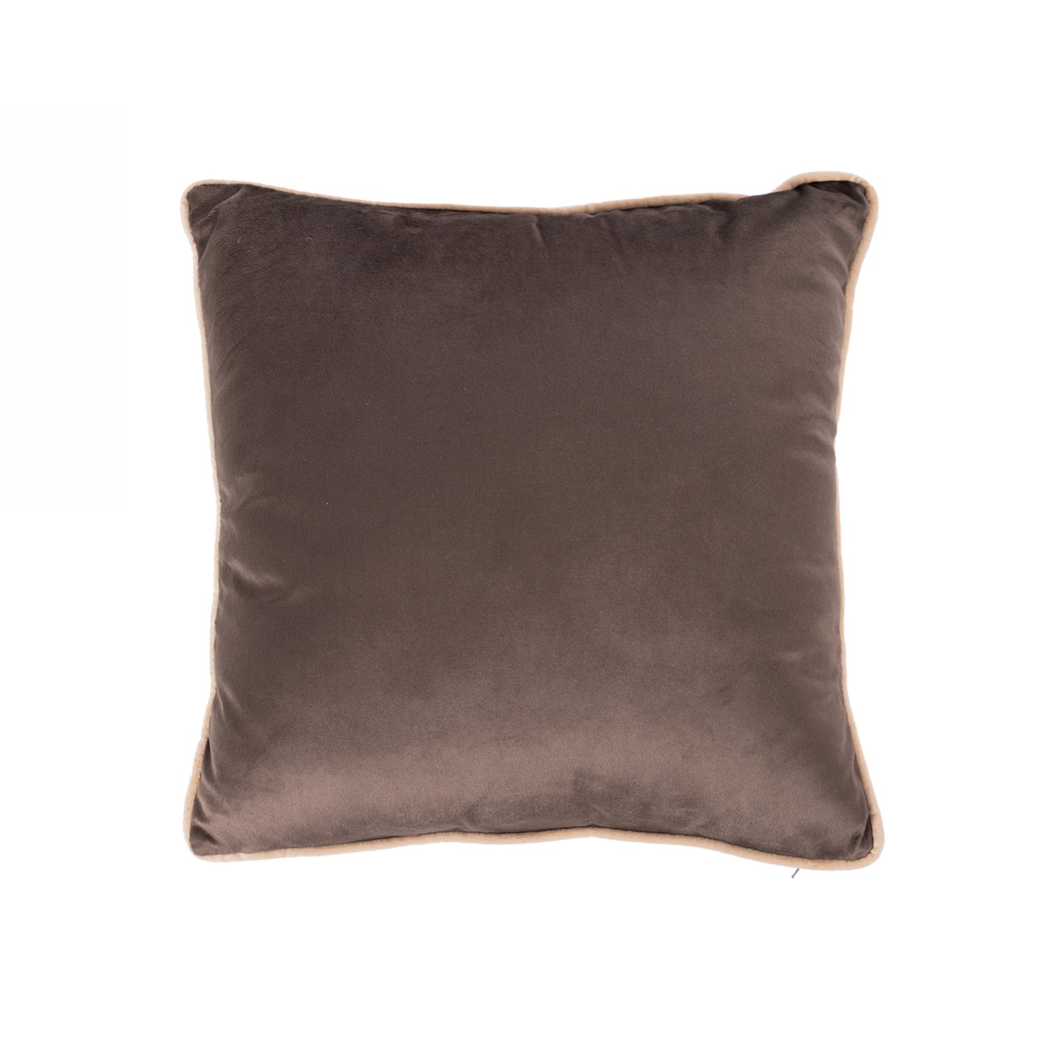 Design Plus Kiwiana Velvet Cushion