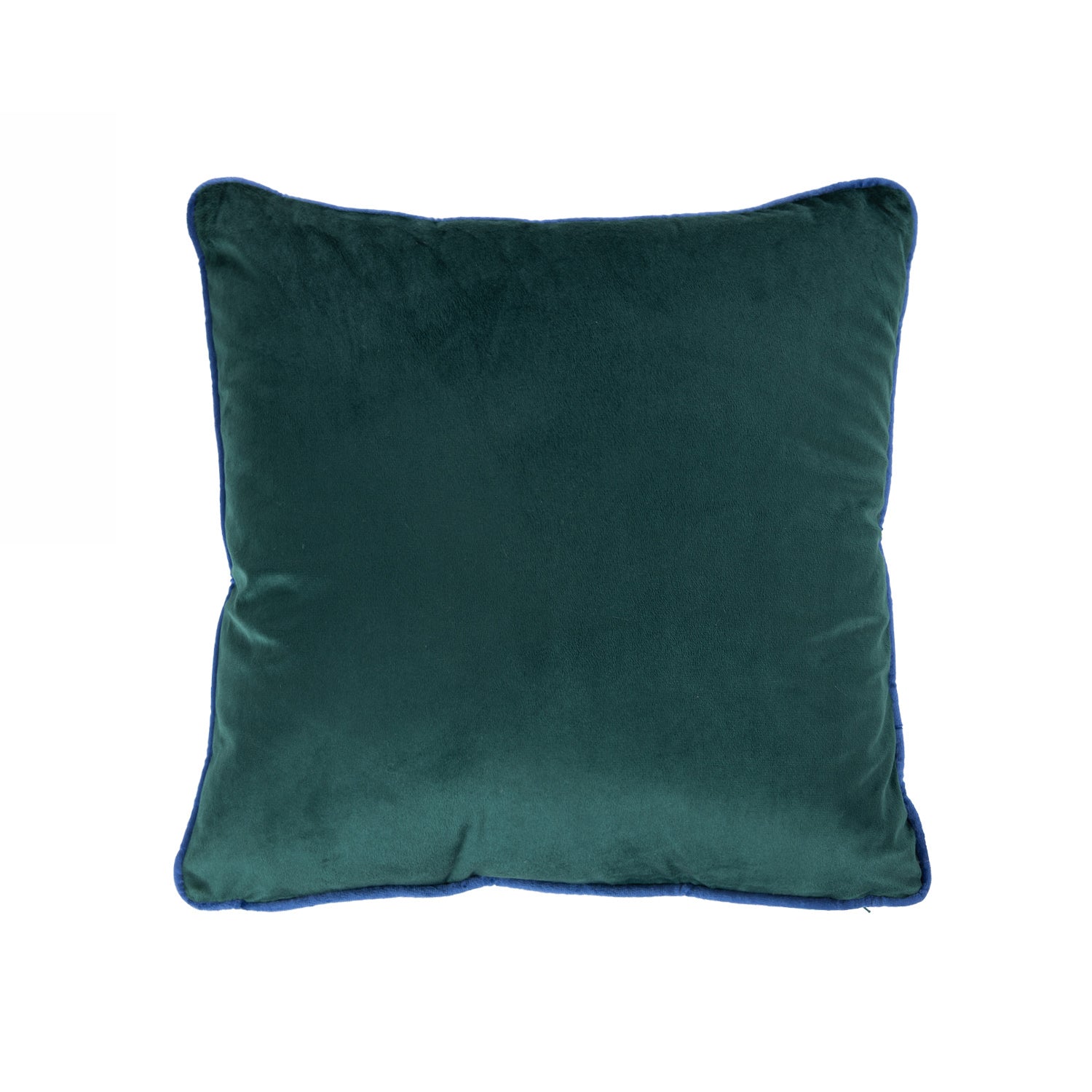 Design Plus Kiwiana Velvet Cushion