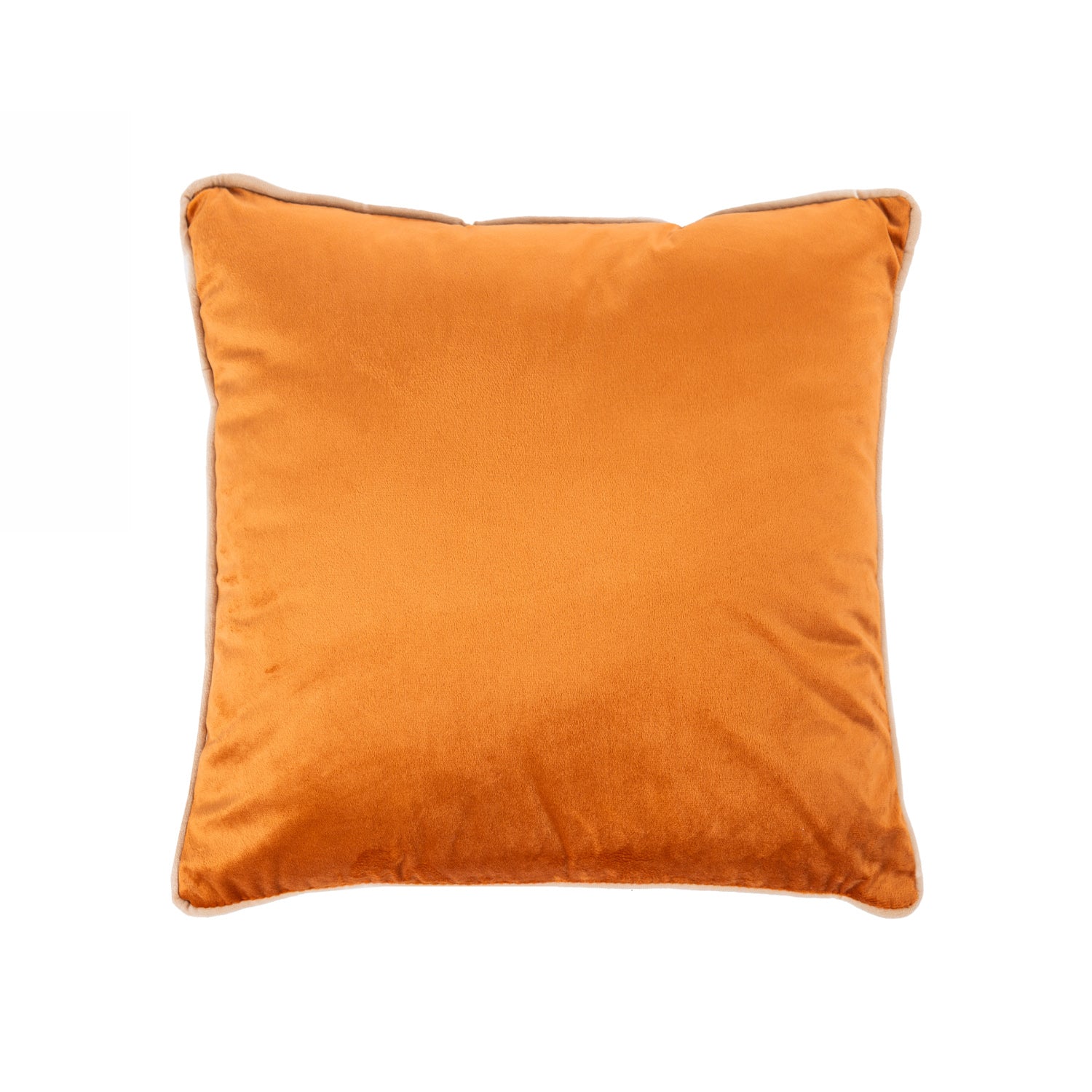 Design Plus Kiwiana Velvet Cushion
