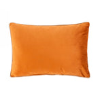 Design Plus Kiwiana Velvet Breakfast Cushion