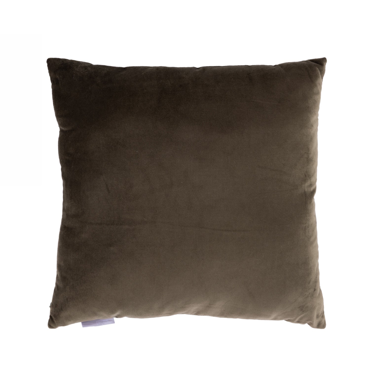 Olive velvet cushion on a white background.