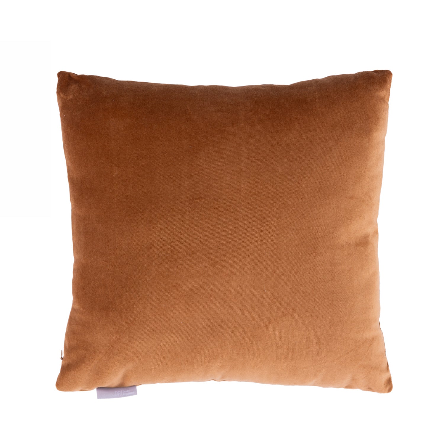 Rust velvet cushion on a white background.
