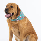 Brown dog sitting against a white background wearing the Christmas Wishes Christmas Gnome Dog Bandana in jade with a colourful festive gnome print.