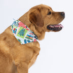 Golden dog shown in side profile wearing the white festive tui dog bandana.