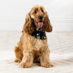 Golden long-haired dog sitting and wearing the navy Christmas Wishes Xmas Wreath Dog Bandana.