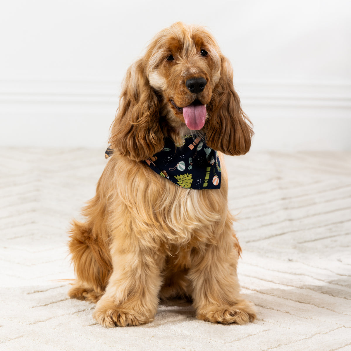 Golden long-haired dog sitting and wearing the navy Christmas Wishes Xmas Wreath Dog Bandana.
