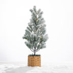 Frosted potted Christmas tree with warm LED lights and a natural woven basket base, displayed on a snowy white background.