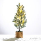Frosted potted Christmas tree illuminated with warm LED lights, finished with a natural woven basket base on a snowy white background.
