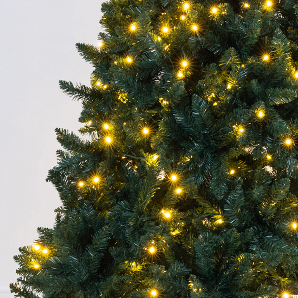 A close-up of a dark green artificial Christmas tree branch covered with warm white starburst LED lights against a plain light gray background.