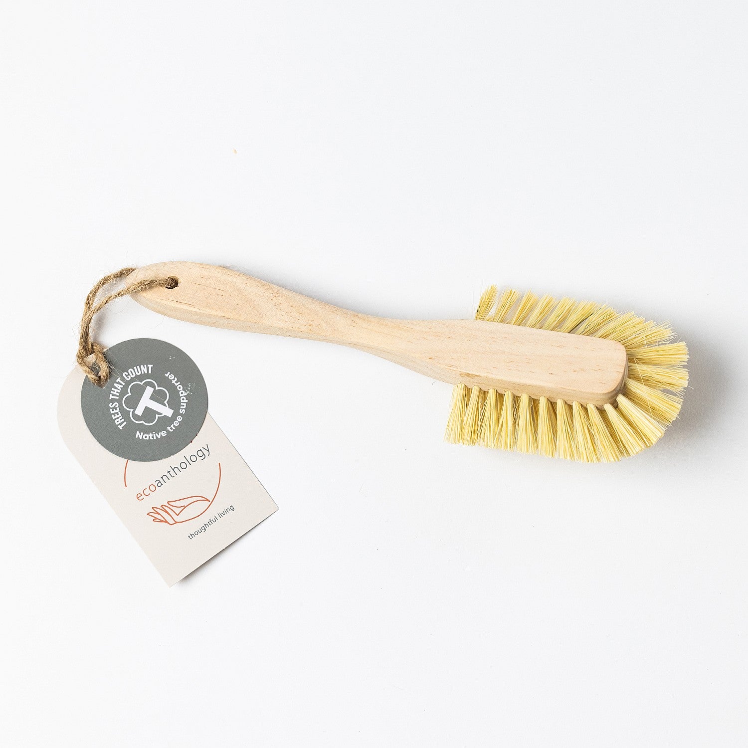 Ecoanthology Dish Brush