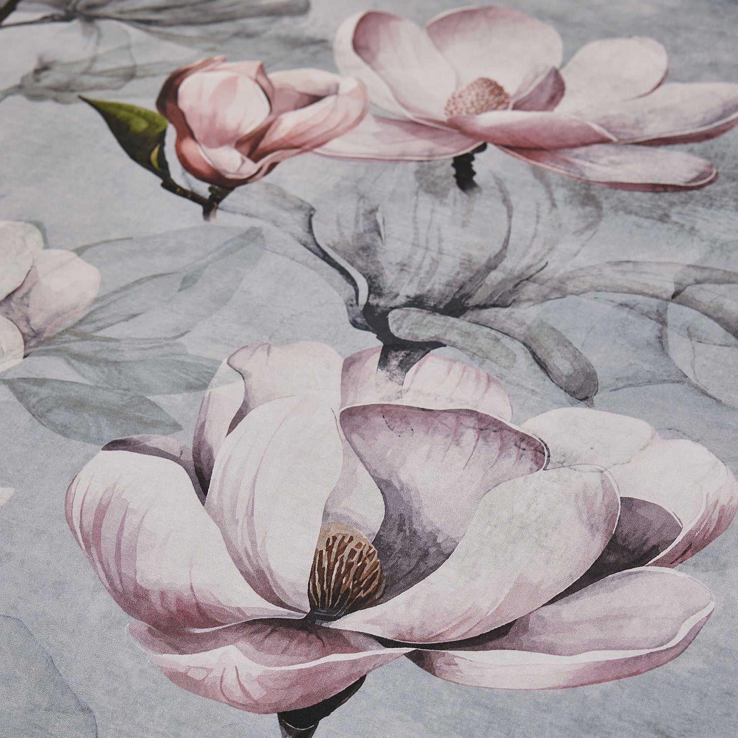 Close-up of pink flowers with green leaves on a textured gray background