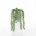 Everlasting Potted Strand Of Beads