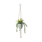 Everlasting Hanging Mixed Greenery Planter