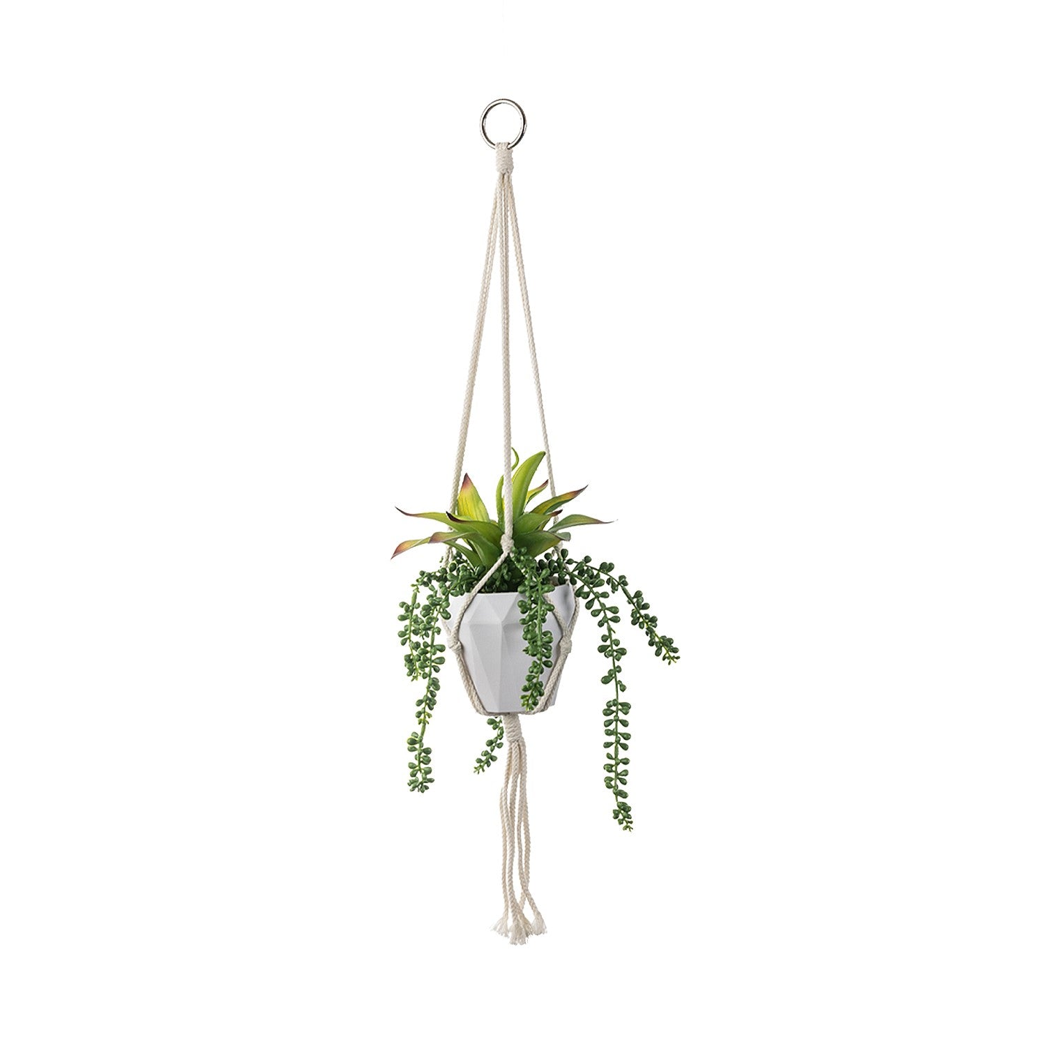 Everlasting Hanging Mixed Greenery Planter