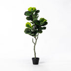 Everlasting Taya Fiddle Tree 110cm