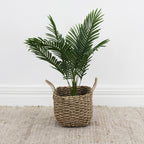Everlasting Taya Boston Palm 75cm