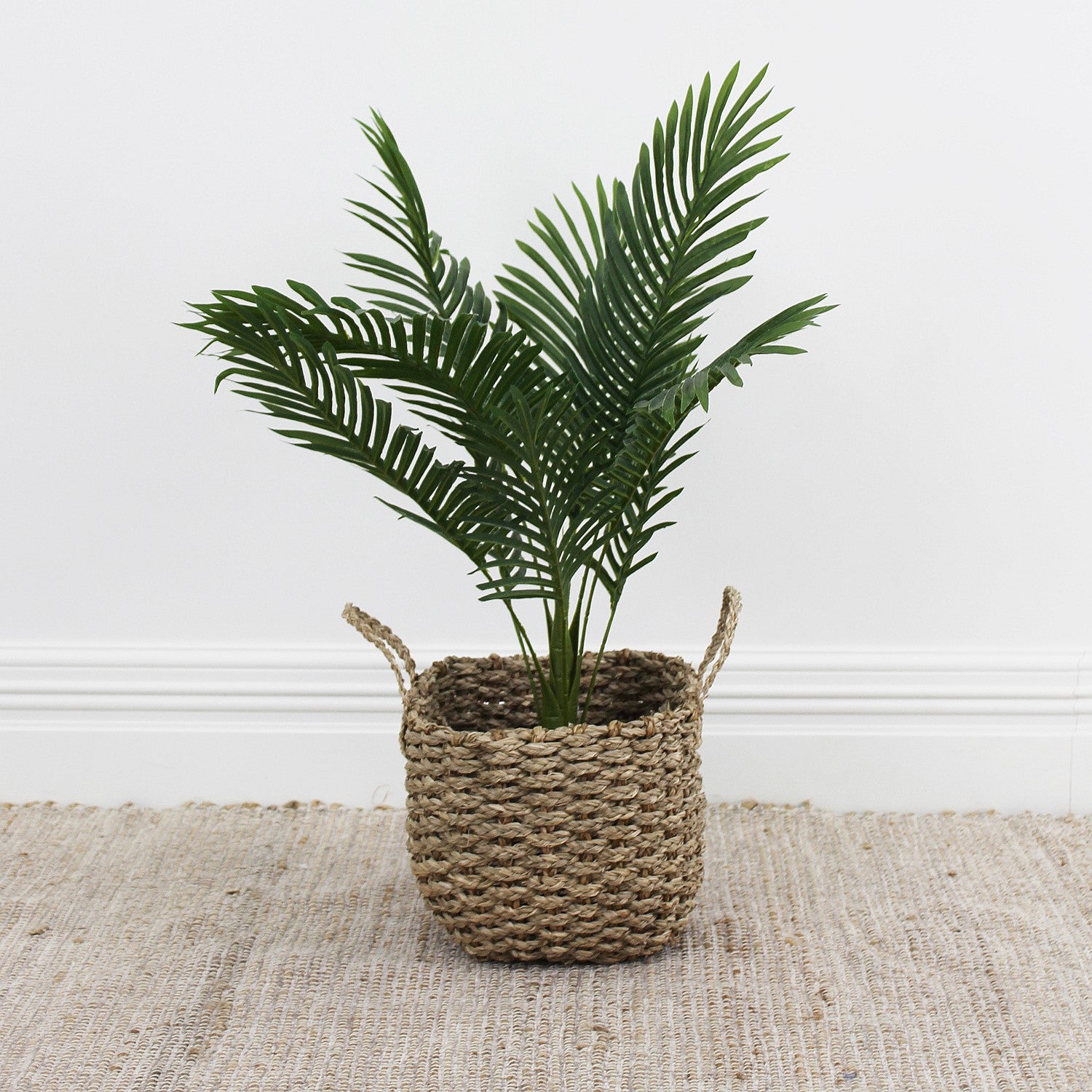 Everlasting Taya Boston Palm 75cm