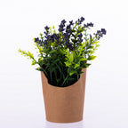 Everlasting Purple Flowers & Grass In Paper Pot