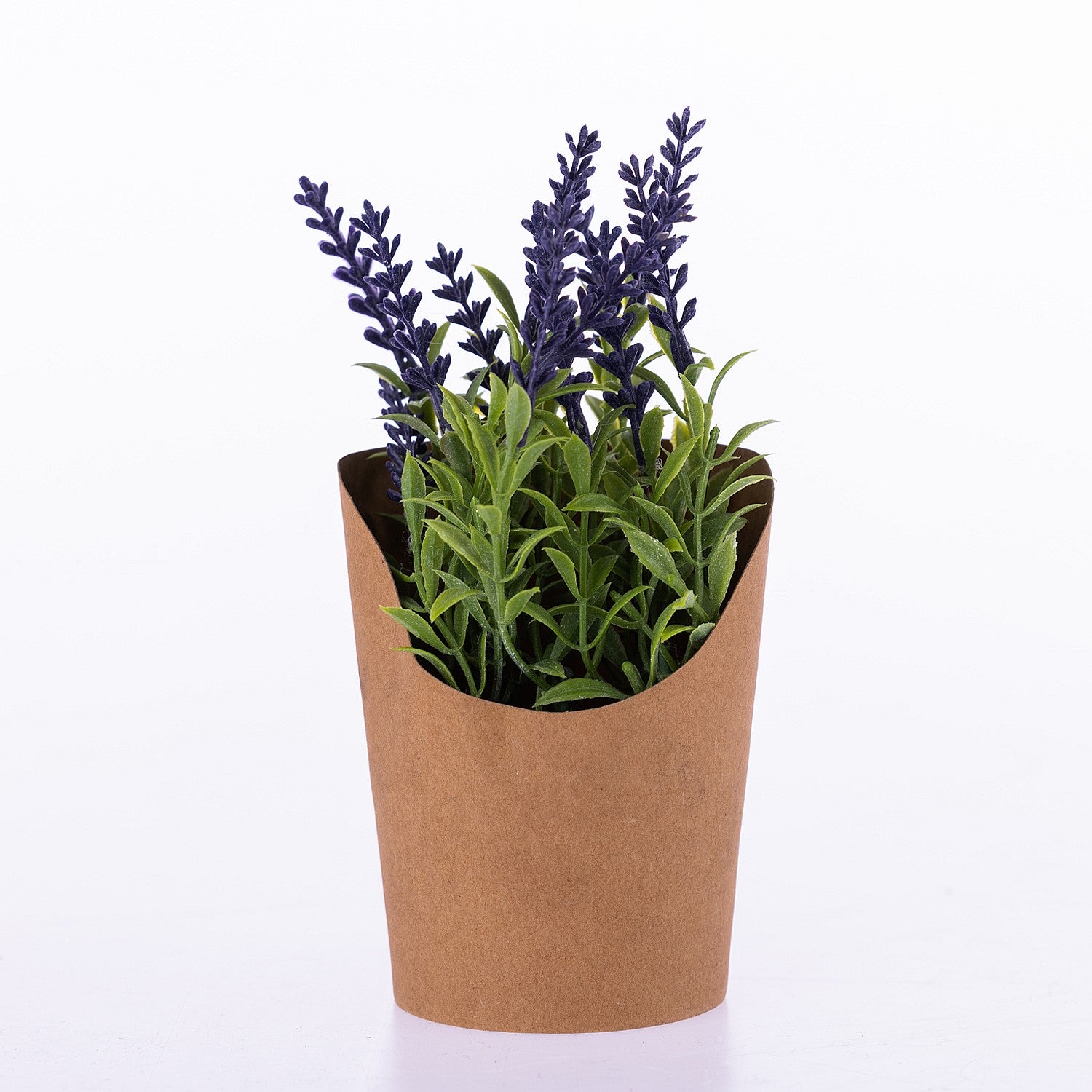 Everlasting Lavender In Paper Pot