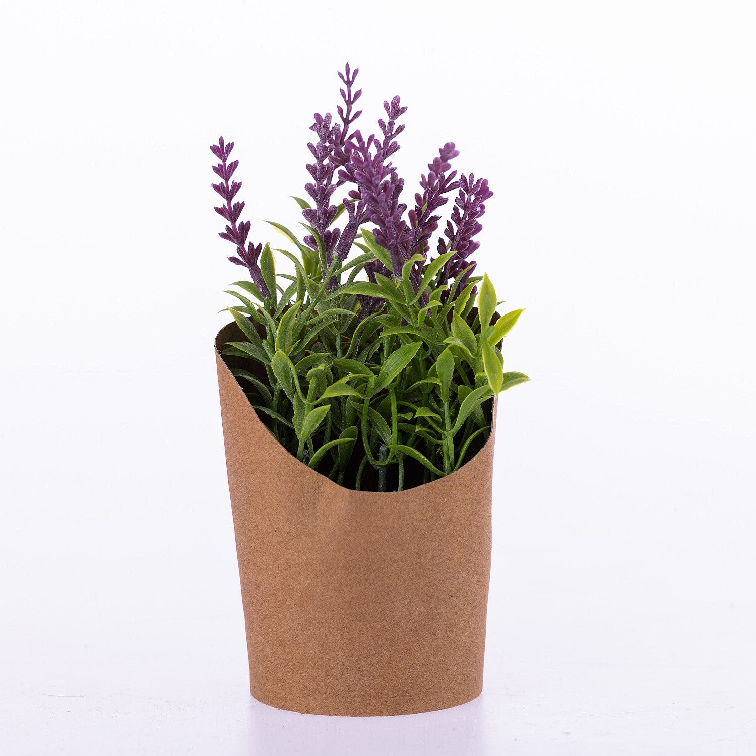 Everlasting Stems Wine In Paper Pot