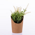 Everlasting Vanilla Stems In Paper Pot