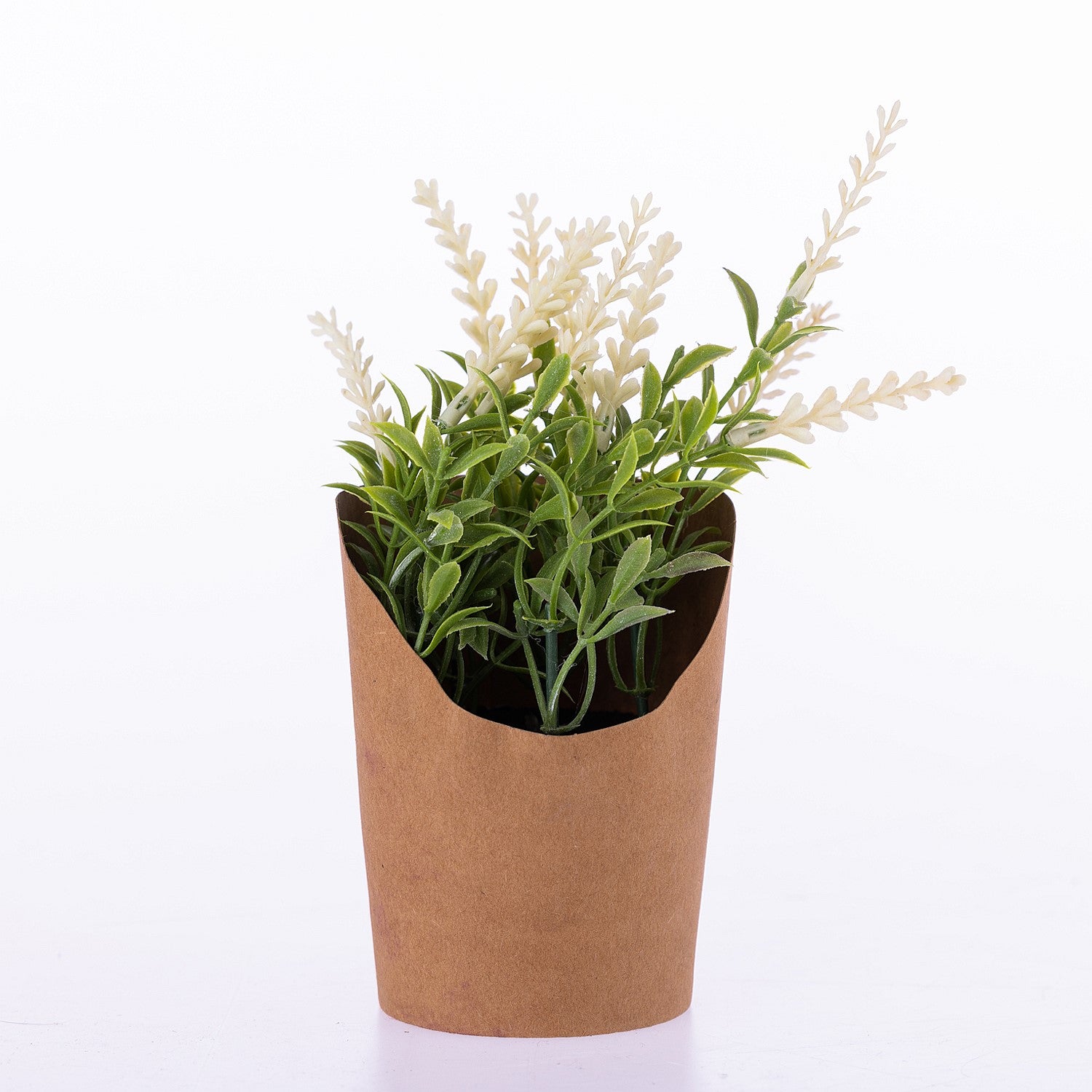 Everlasting Vanilla Stems In Paper Pot