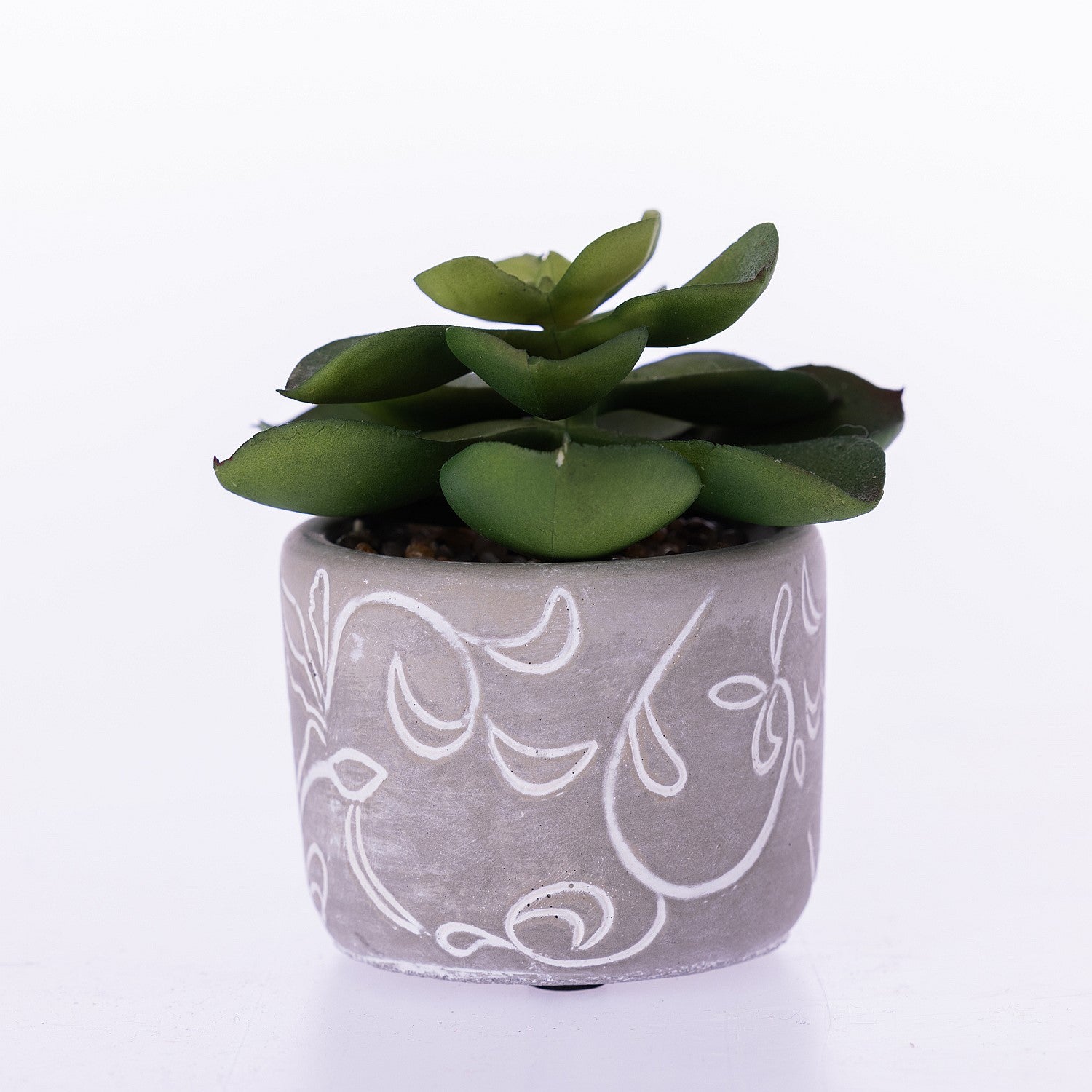 Everlasting Green Succulent in Grey Pot