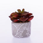 Everlasting Red Succulent in Grey Pot