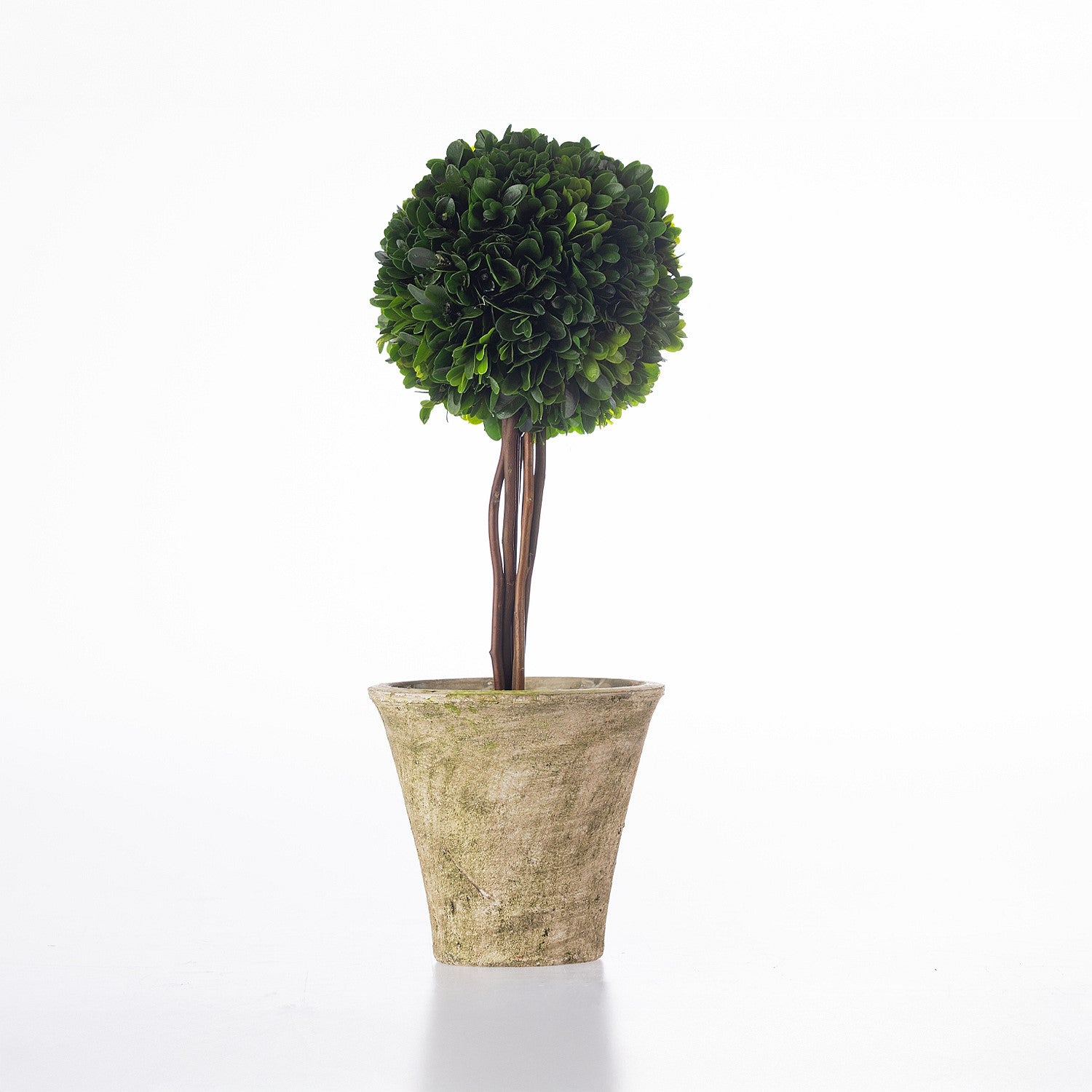 Everlasting Mateus Topiary Ball Large 40cm