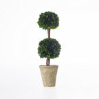 Everlasting Mateus Topiary Double Ball