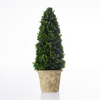 Everlasting Mateus Topiary Cone Large 53cm