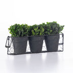 Everlasting Mateus Topiary Set Of 3