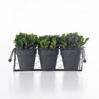 Everlasting Mateus Topiary Set Of 3