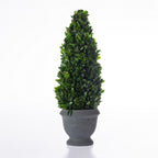 Everlasting Mateus Topiary Cone Charcoal 50cm