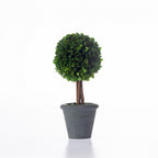 Everlasting Mateus Topiary Ball Charcoal 30cm
