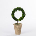 FAULTY CANT GO ONLINE Everlasting Tuscany Topiary Boxwood Ring 40cm
