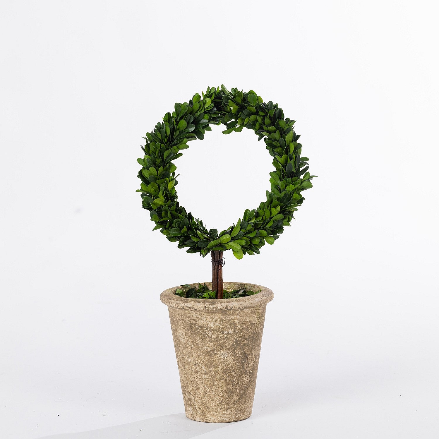 FAULTY CANT GO ONLINE Everlasting Tuscany Topiary Boxwood Ring 40cm
