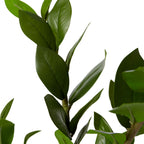 Elme Zanzibar Potted Plant Large