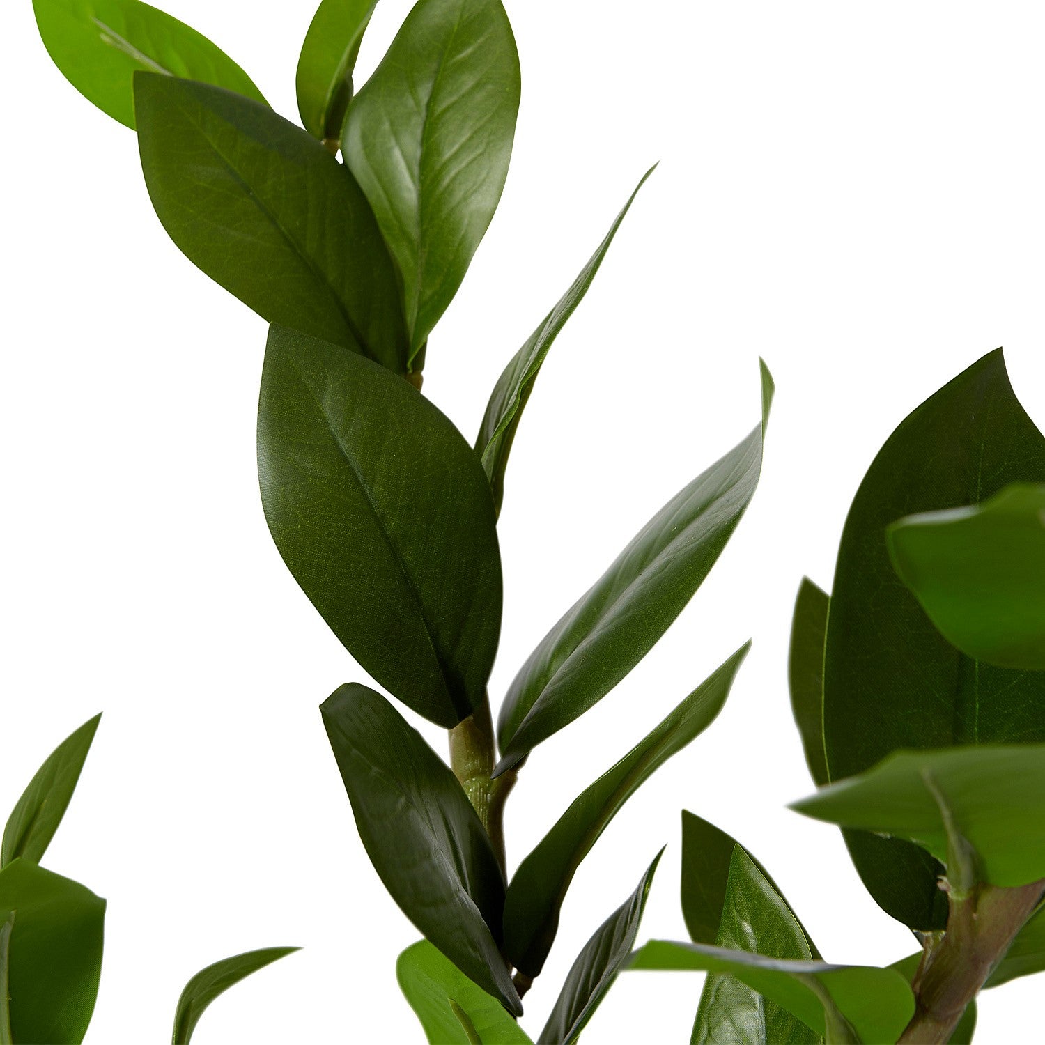 Elme Zanzibar Potted Plant Large